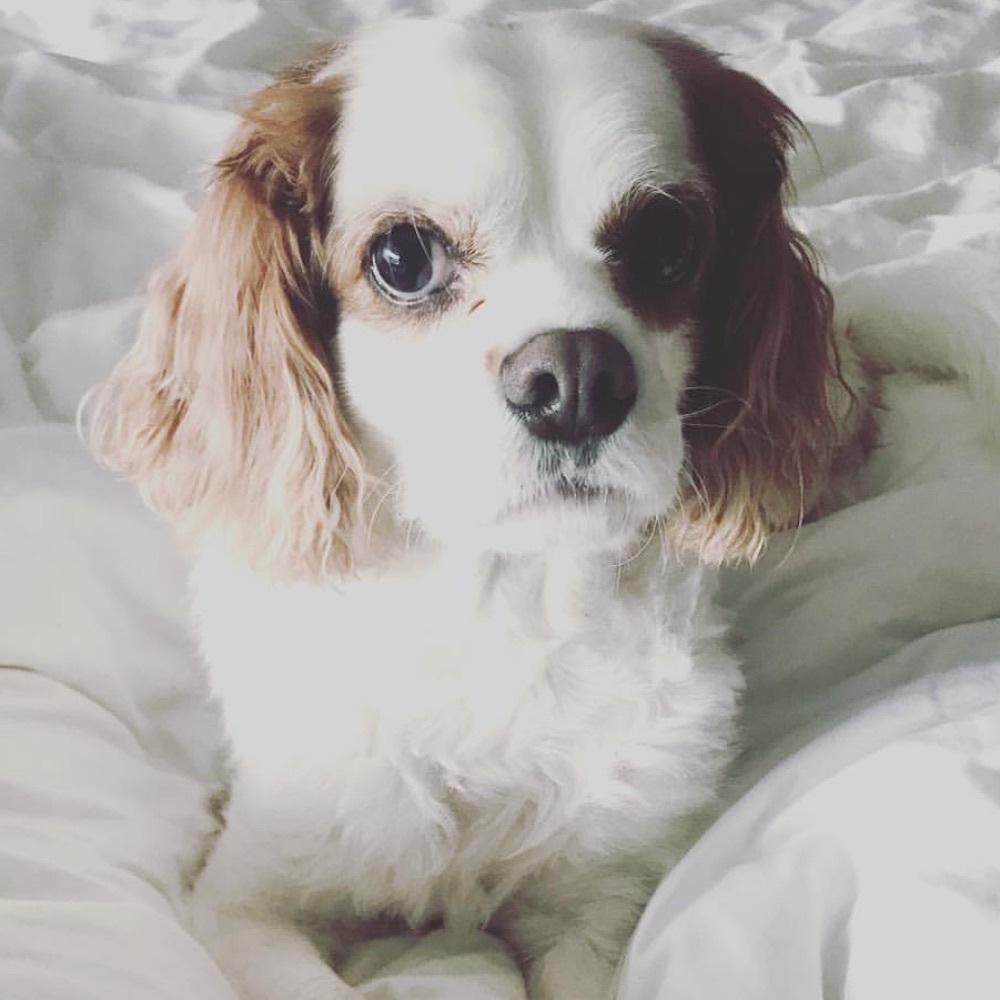 Meet your Posher, Colette